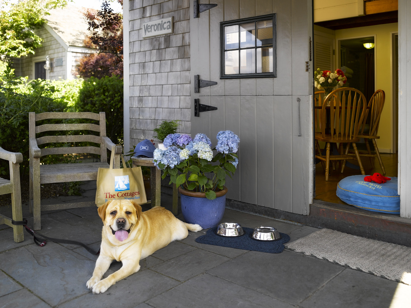 Pet Friendly The Cottages At Nantucket Boat Basin in Nantucket, Massachusetts