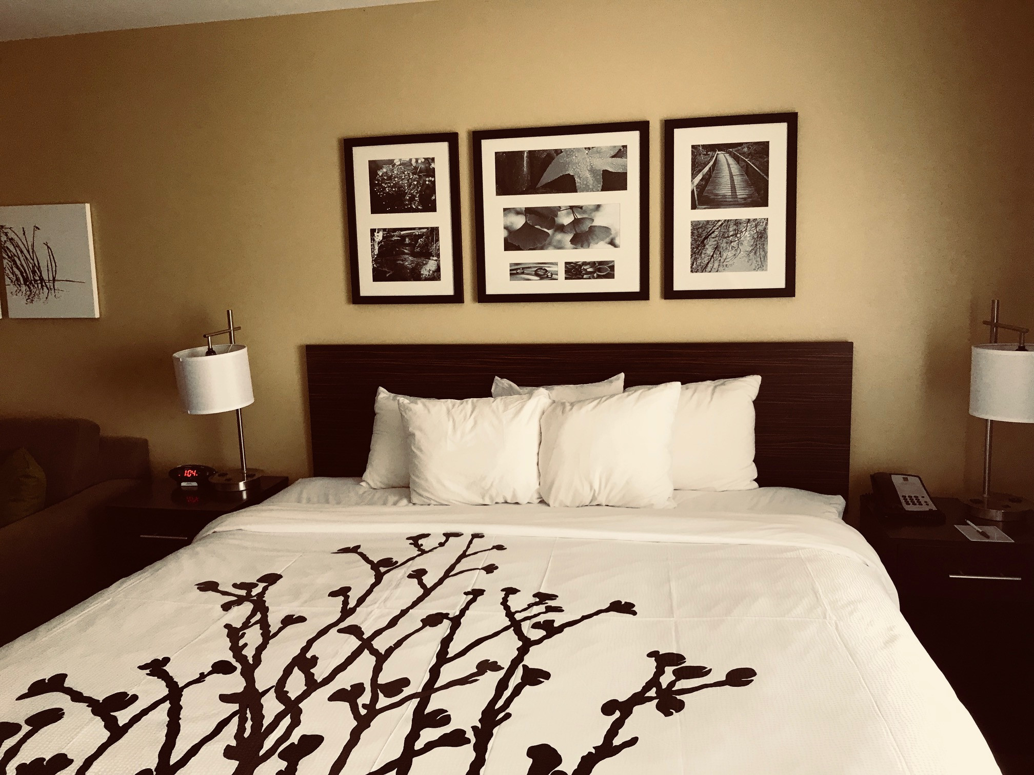 Pet Friendly Sleep Inn & Suites University in Lincoln, Nebraska