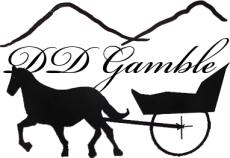 Pet Friendly DD Gamble Guest Lodge & Ranch in Portal, Arizona