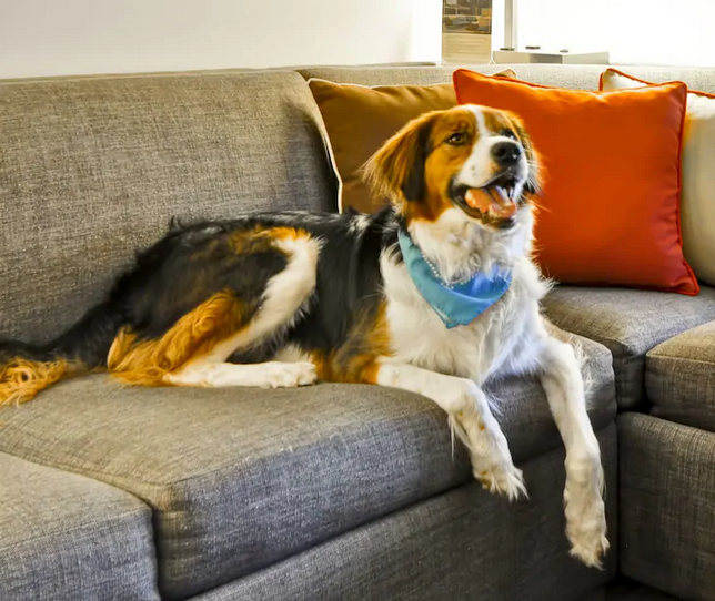 Pet Friendly Hyatt Place Portland - Old Port in Portland, Maine