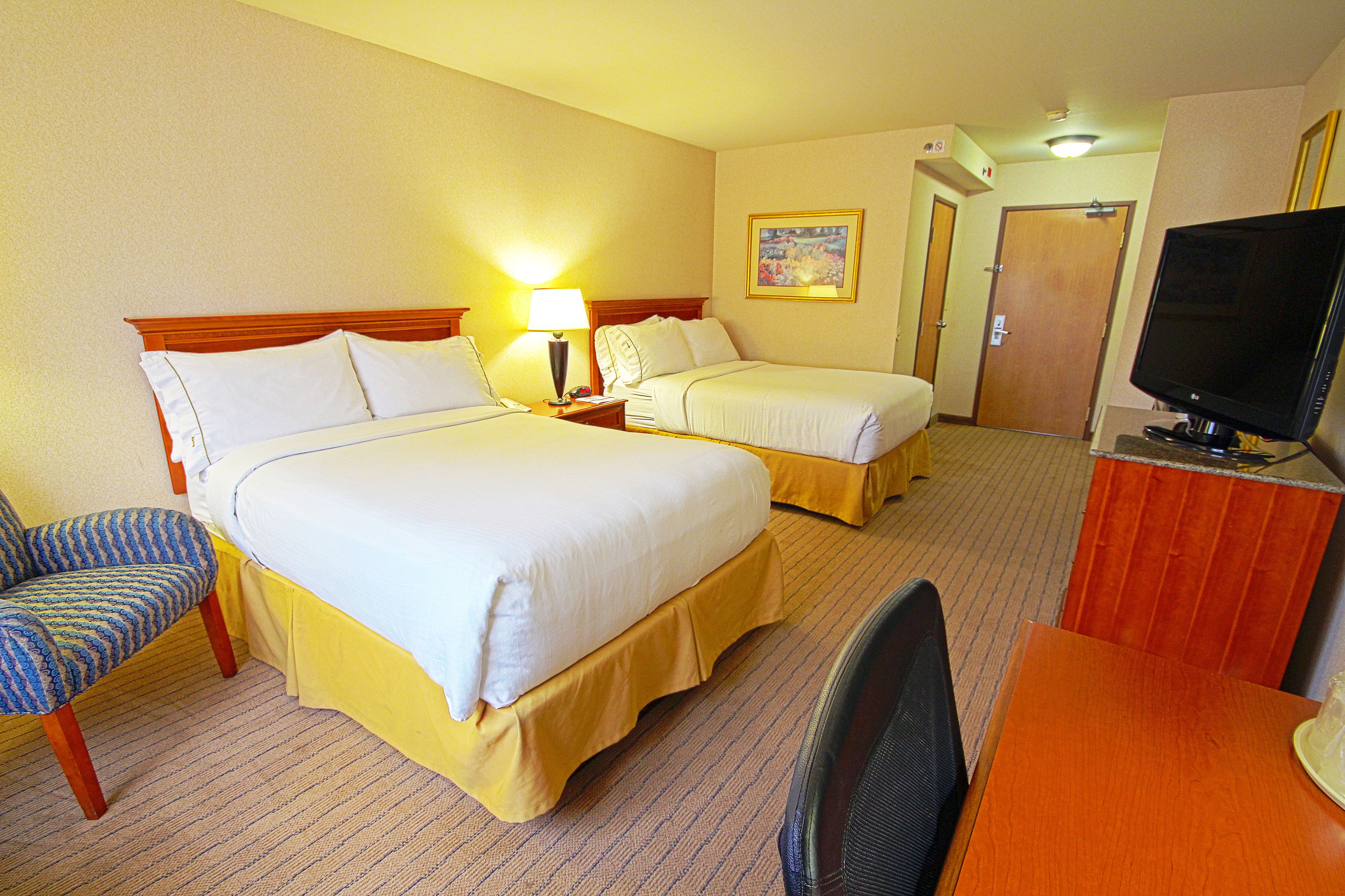 Pet Friendly Holiday Inn Express Walnut Creek in Walnut Creek, California