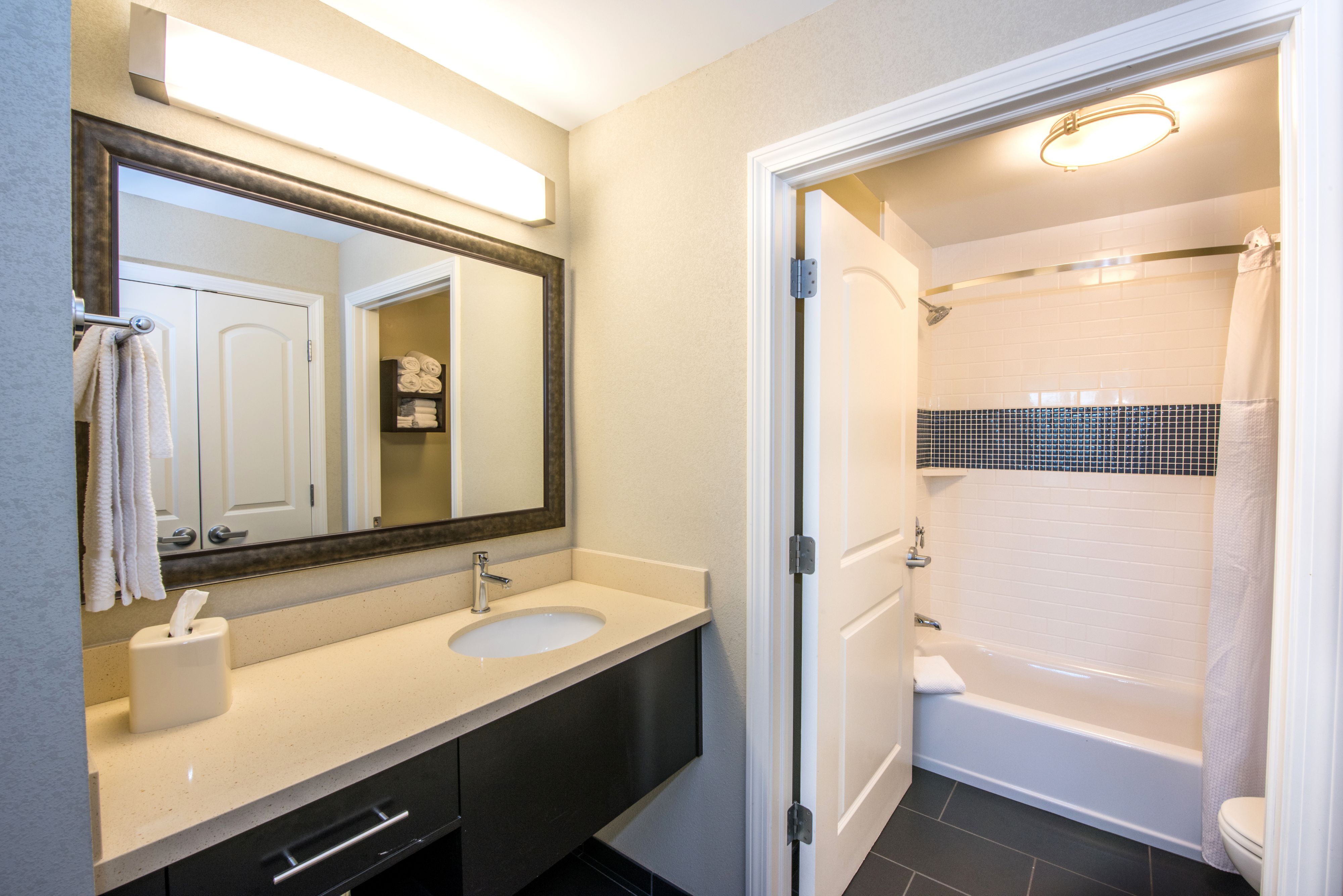 Pet Friendly Staybridge Suites Albany Wolf Rd-Colonie Center in Albany, New York