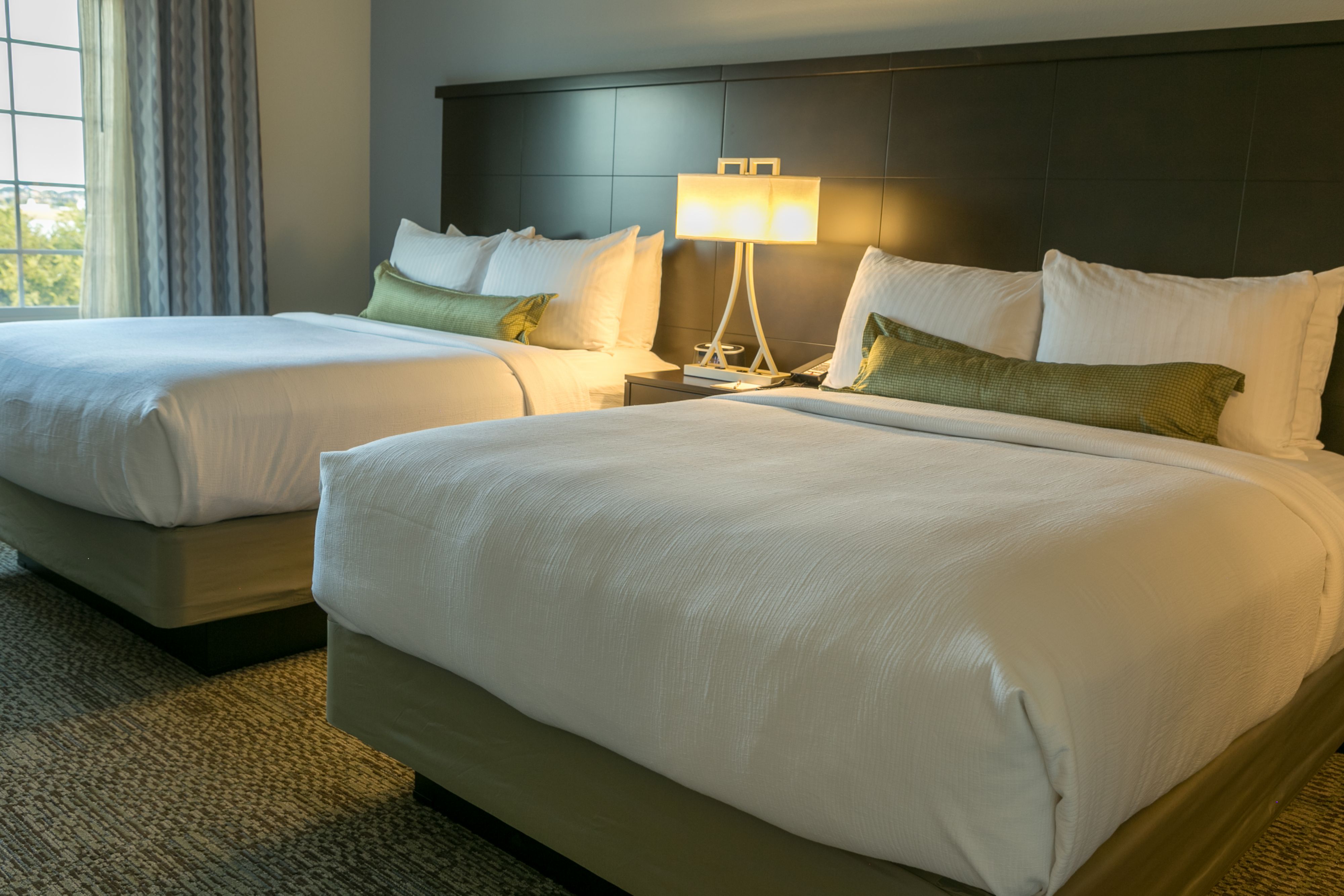 Pet Friendly Staybridge Suites Austin North - Parmer Lane in Austin, Texas