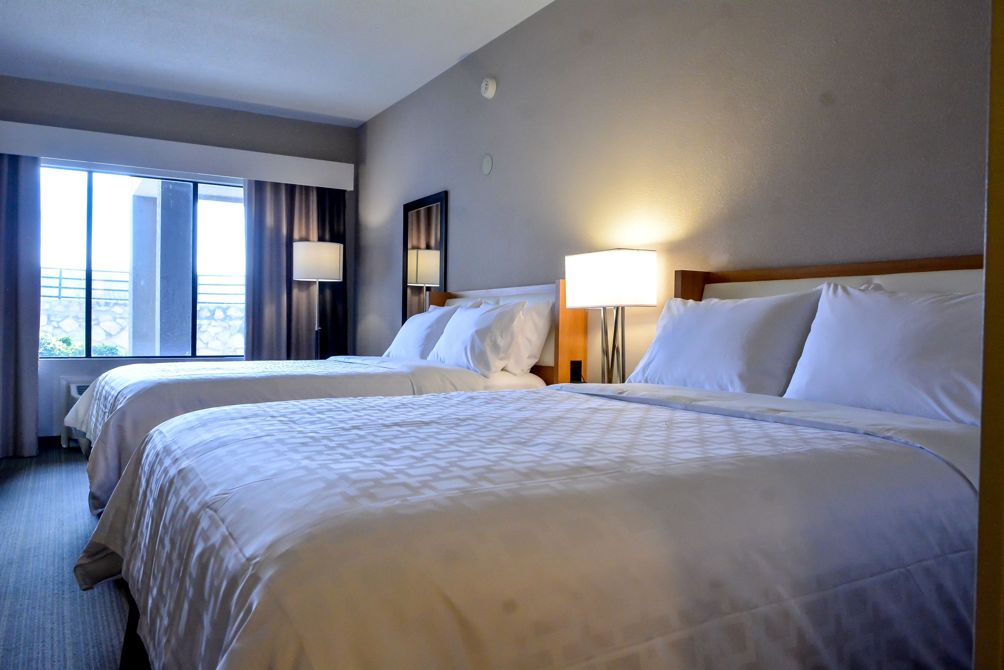 Pet Friendly Holiday Inn El Paso West - Sunland Park in El Paso, Texas