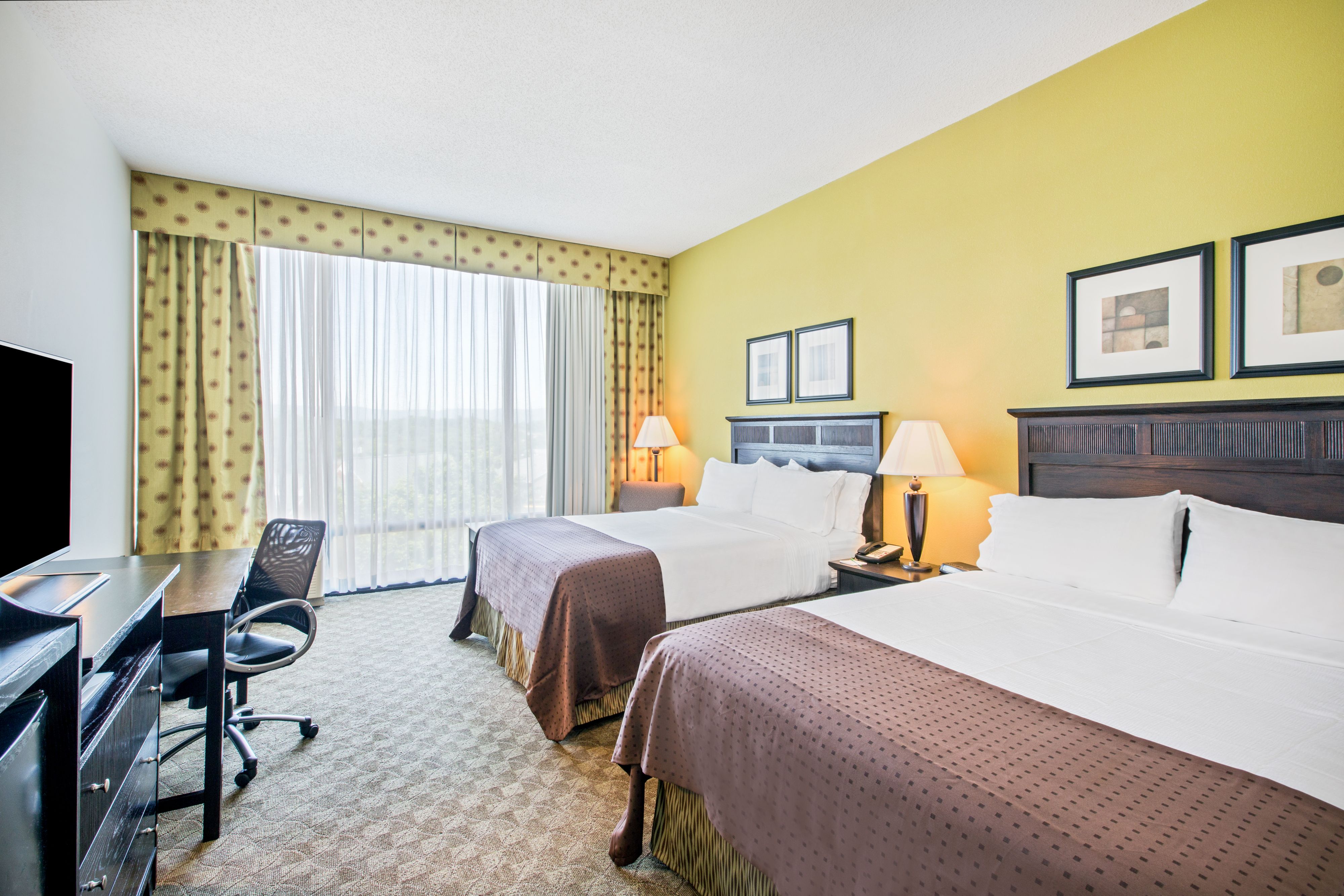 Pet Friendly Holiday Inn Roanoke-Tanglewood-Rt 419&I581 in Roanoke, Virginia