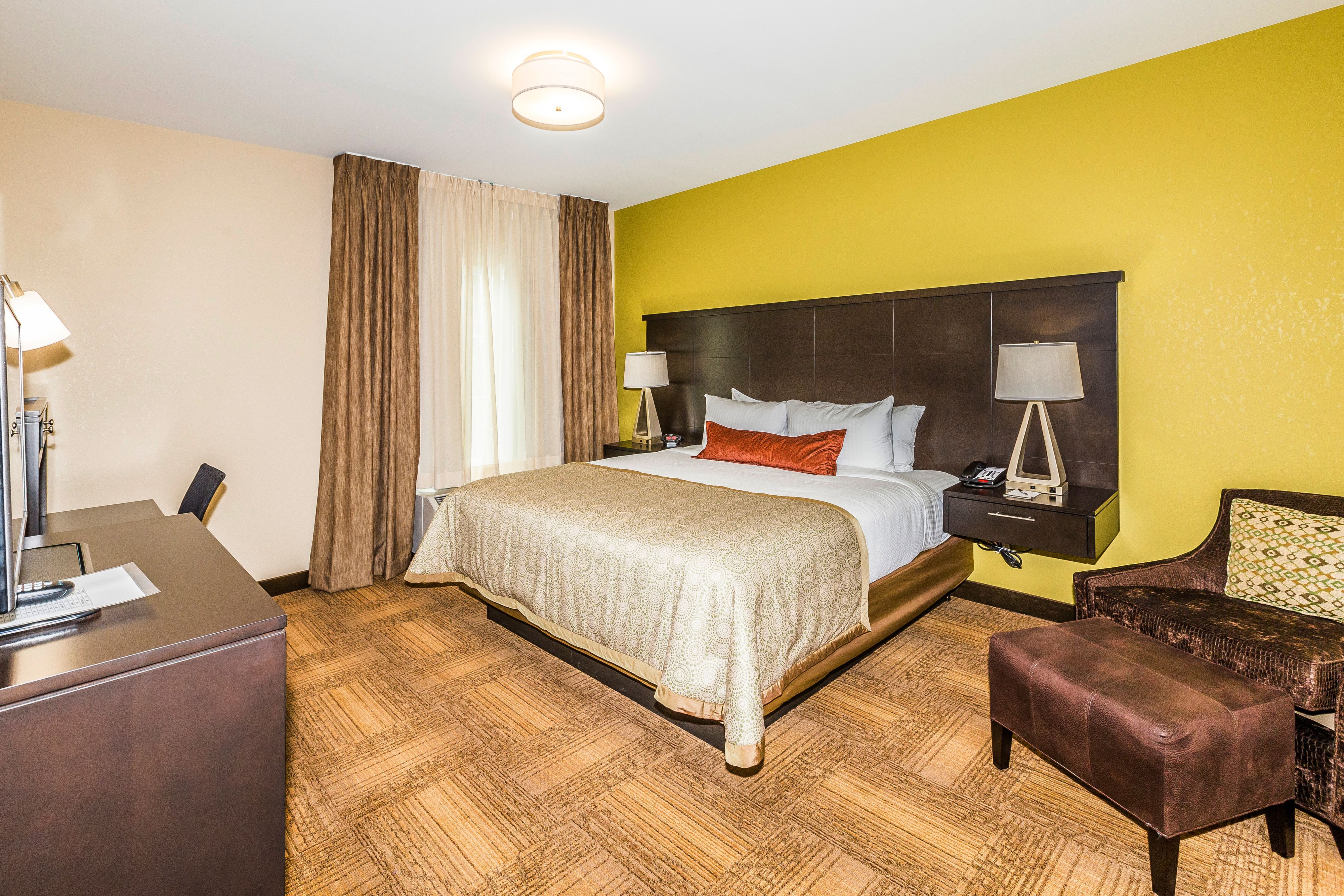Pet Friendly Staybridge Suites Knoxville-West in Knoxville, Tennessee