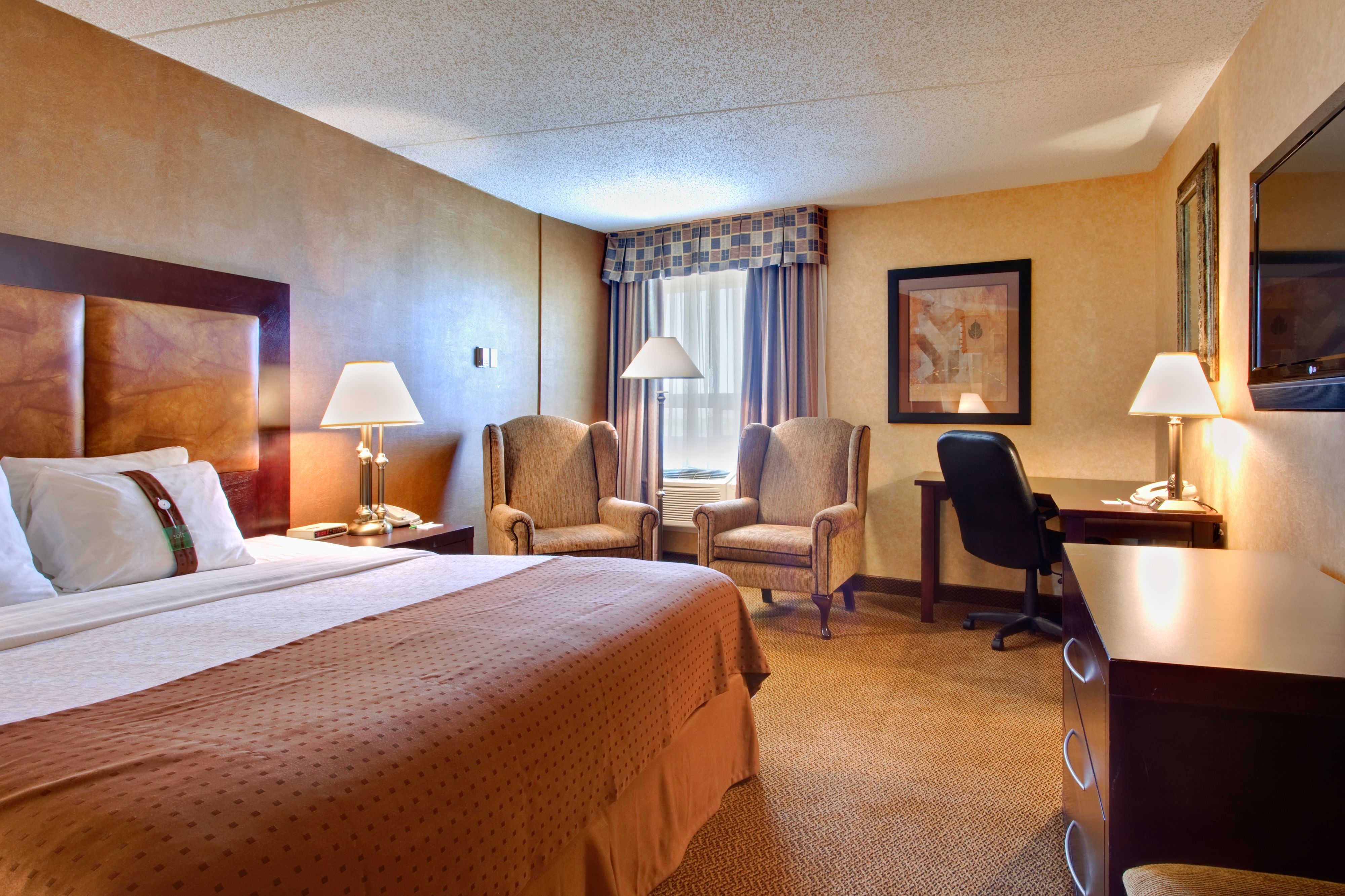 Pet Friendly Holiday Inn Calgary-Airport in Calgary, Alberta