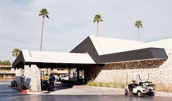 Pet Friendly Ace Hotel and Swim Club in Palm Springs, California