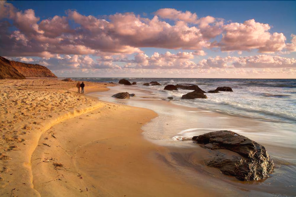 Pet Friendly DoubleTree Suites by Hilton Doheny Beach - Dana Point in Dana Point, California