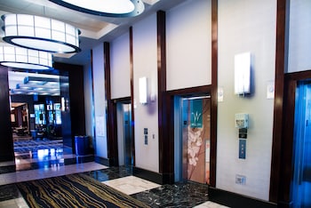 Pet Friendly Platinum Hotel in Las Vegas, Nevada