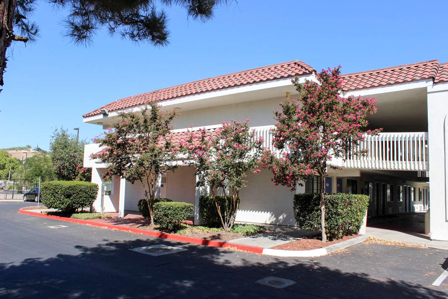 Pet Friendly Motel 6 Paso Robles in Paso Robles, California