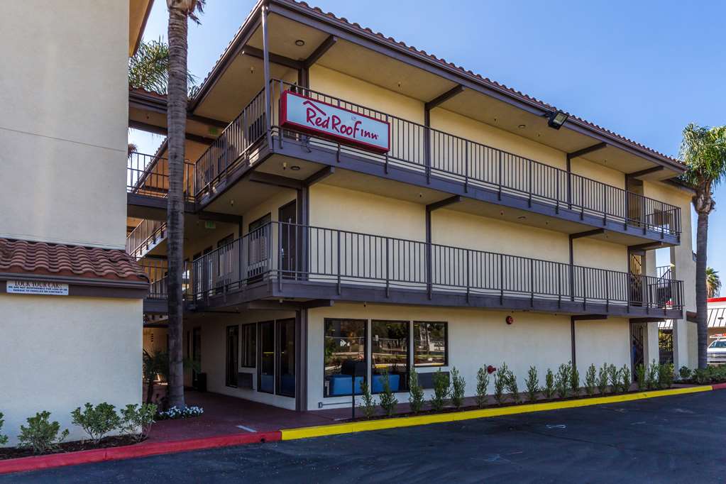 Pet Friendly Red Roof Inn Tulare - Downtown/Fairgrounds in Tulare, California