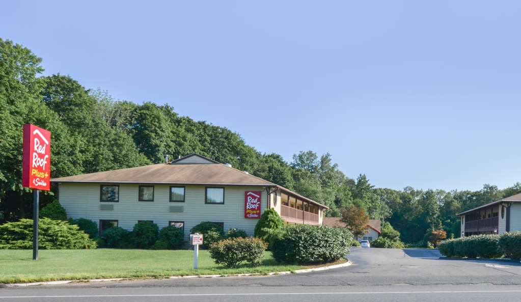 Pet Friendly Red Roof Inn & Suites Guilford in Guilford, Connecticut
