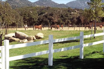 Pet Friendly Warner Springs Ranch in Warner Springs, California