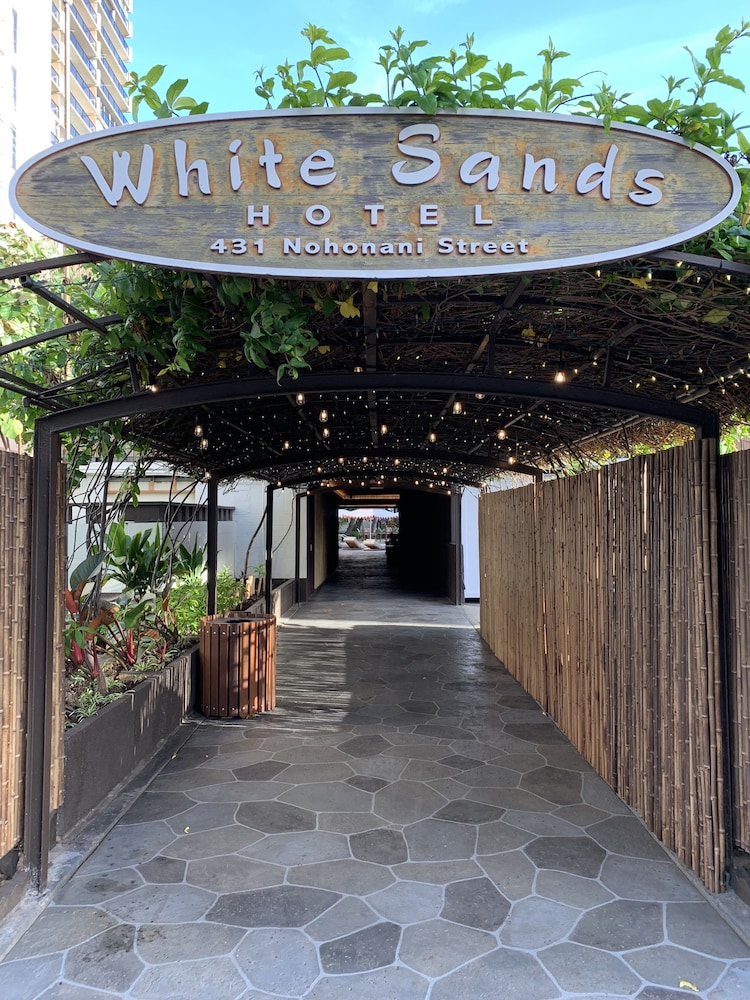 Pet Friendly White Sands Hotel in Honolulu, Hawaii