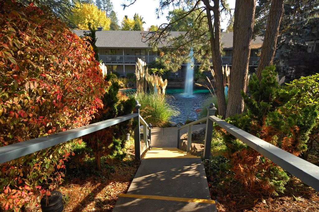 Pet Friendly Best Western Portland West Beaverton in Beaverton, Oregon