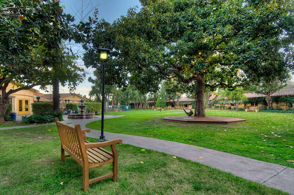 Pet Friendly Inn Marin in Novato, California