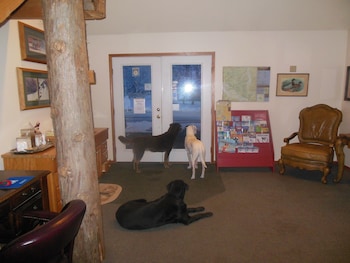 Pet Friendly Clark Fork Lodge in Clark Fork, Idaho