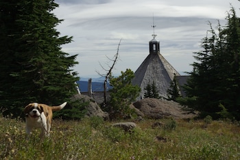 Pet Friendly Timberline Lodge in Government Camp, Oregon