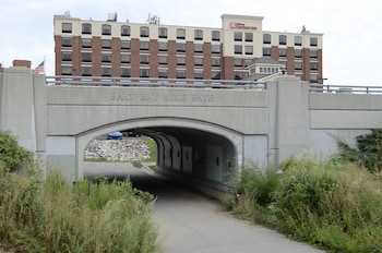 Pet Friendly Wyndham Garden Providence in Providence, Rhode Island