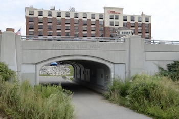 Pet Friendly Hilton Garden Inn Providence in Providence, Rhode Island