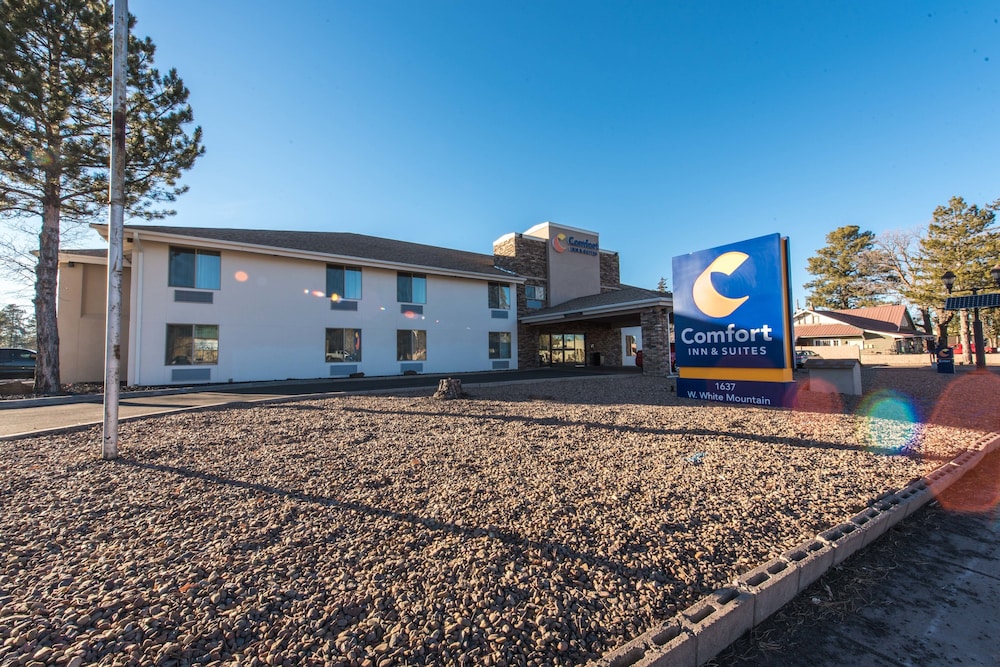 Pet Friendly Comfort Inn & Suites in Lakeside, Arizona