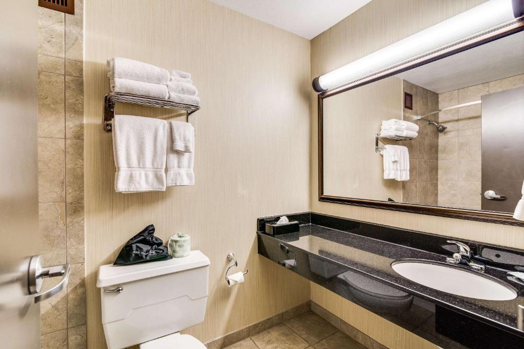 Pet Friendly Clarion Hotel in Minot, North Dakota