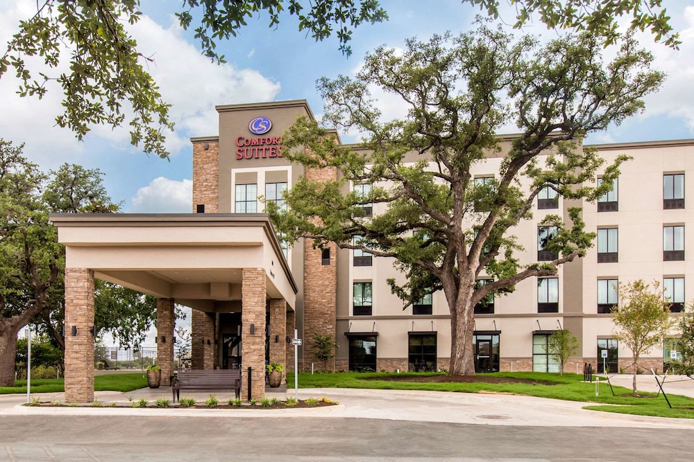 Pet Friendly Comfort Suites - South Austin in Austin, Texas
