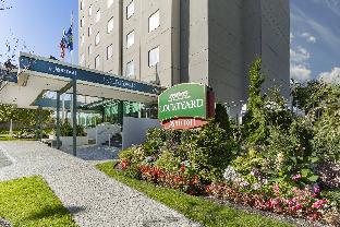 Pet Friendly Courtyard By Marriott New York Jfk Airport in Queens, New York