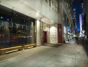 Pet Friendly Cassa Hotel Ny 45th Street in New York, New York