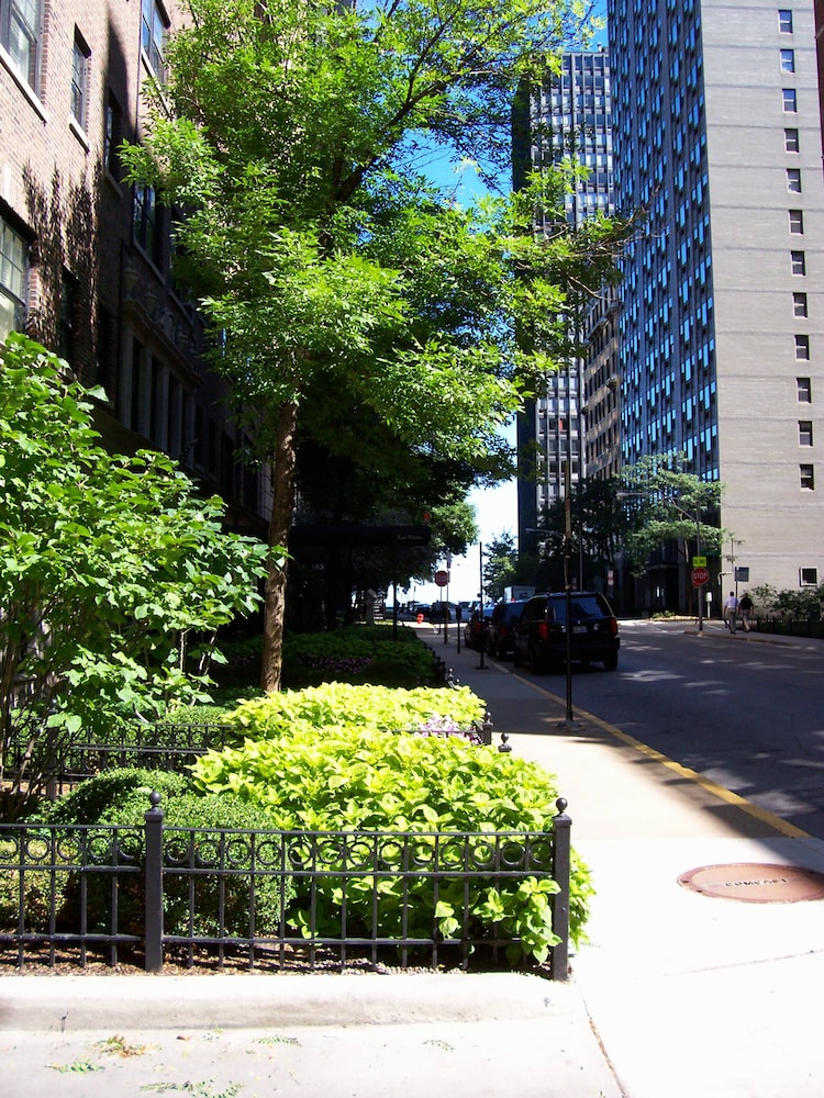 Pet Friendly Dewitt Hotel & Suites in Chicago, Illinois