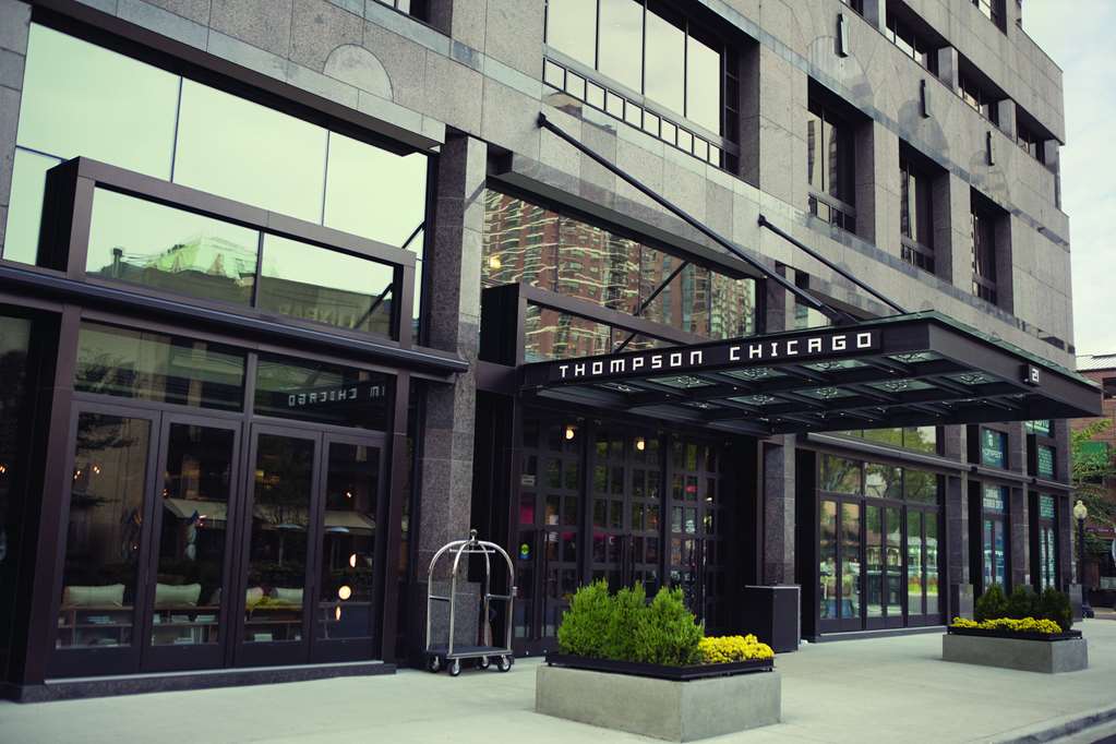 Pet Friendly Thompson Chicago in Chicago, Illinois