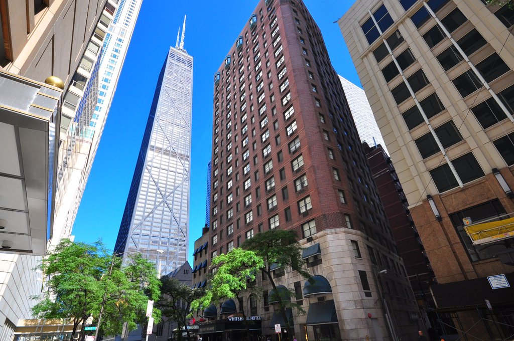 Pet Friendly Whitehall Hotel in Chicago, Illinois