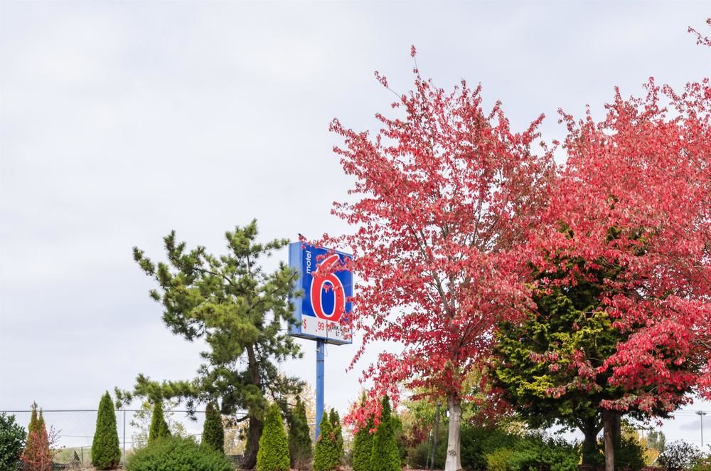 Pet Friendly Motel 6 Seattle Sea Tac Airport South in Seatac, Washington