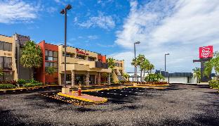 Pet Friendly Red Roof Inn St. Petersburg Clearwater / Airport in Clearwater, Florida