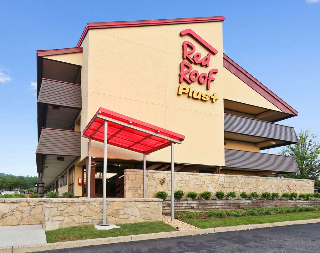 Pet Friendly Red Roof Inn PLUS+ Baltimore North Timonium in Lutherville Timonium, Maryland