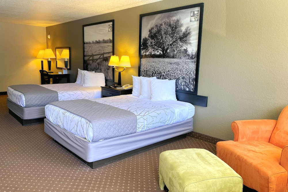 Pet Friendly Surestay Hotel By Best Western New Braunfels in New Braunfels, Texas
