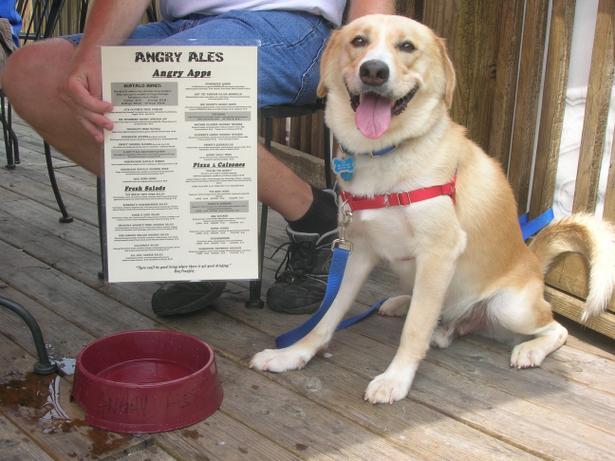 Pet Friendly Angry Ale's in Charlotte, NC