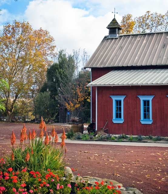 Pet Friendly Mu Restaurant in Redlands, CA