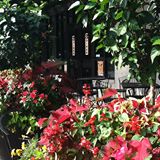 Pet Friendly Hope Valley Diner  in Durham, NC