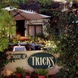 Pet Friendly House of Tricks in Tempe, AZ