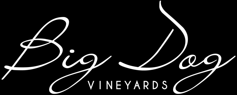 Pet Friendly Big Dog Vineyards in Milpitas, CA