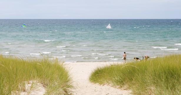 Pet Friendly Dog Beach at Douglas Rec Area in Manistee, MI