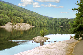 Pet Friendly Bear Mountain State Park in Bear Mountain, NY