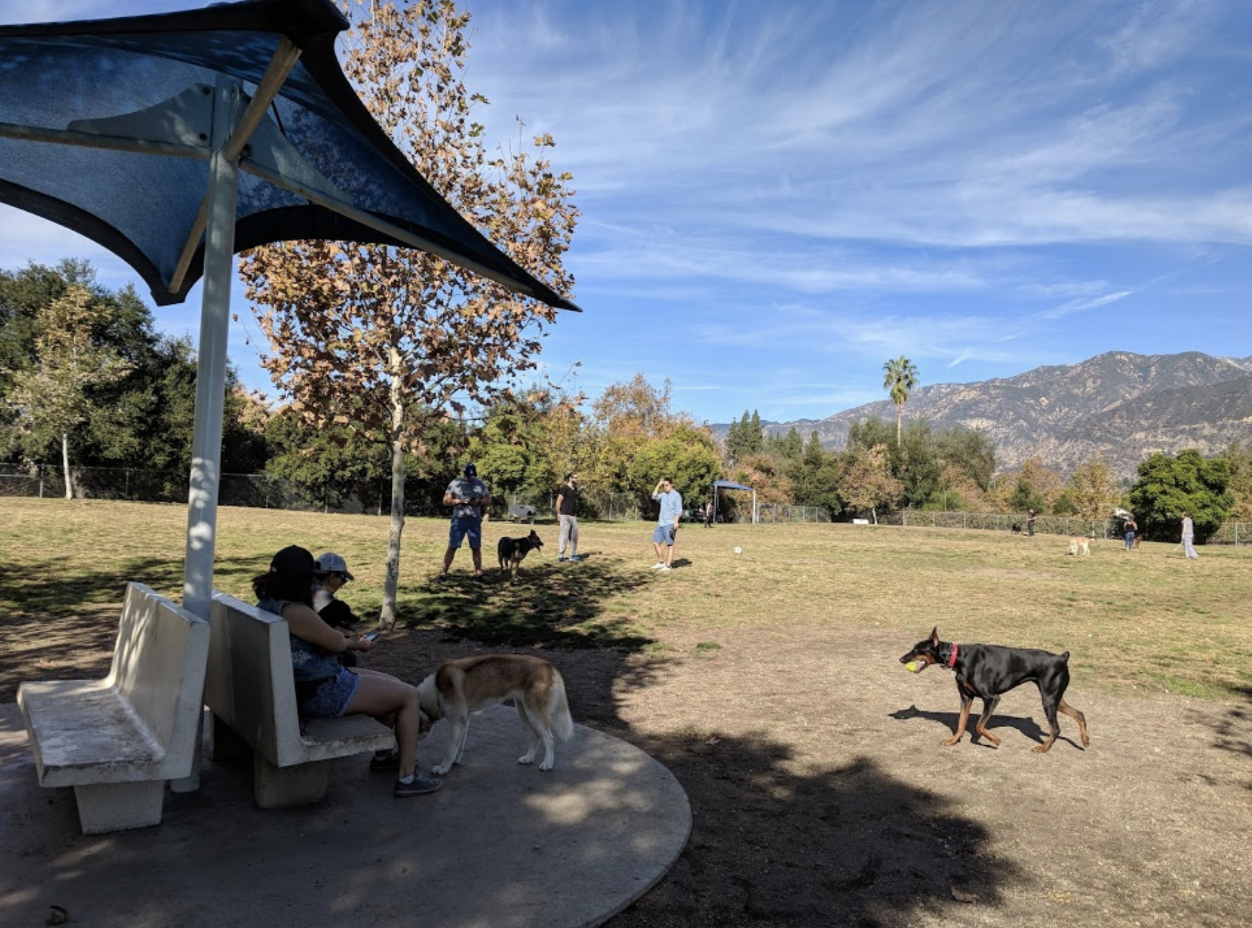 Pet Friendly Alice Frost Kennedy Dog Park in Pasadena, California