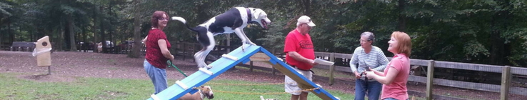 Pet Friendly Waller Mill Dog Park in Williamsburg, Virginia