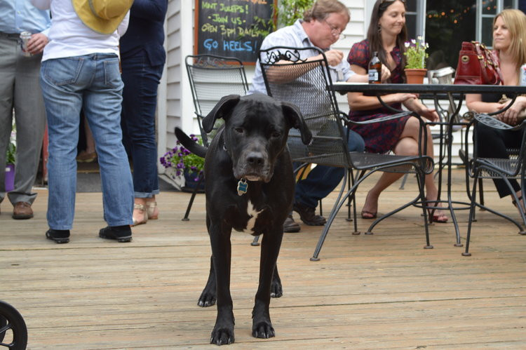 Pet Friendly Dead Mule Club in Chapel Hill, North Carolina