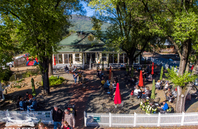 Pet Friendly Wild Wolf Brewing Company in Nellysford, VA