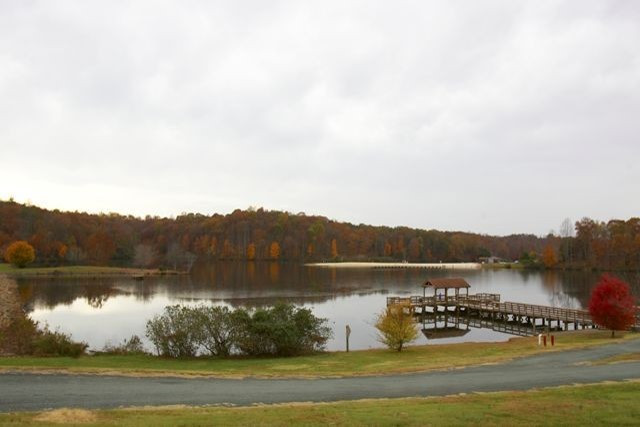 Pet Friendly Chris Green Lake Dog Park in Charlottesville, VA