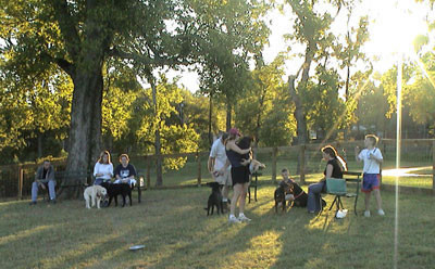 Pet Friendly Shelby Dog Park in Nashville, Tennessee